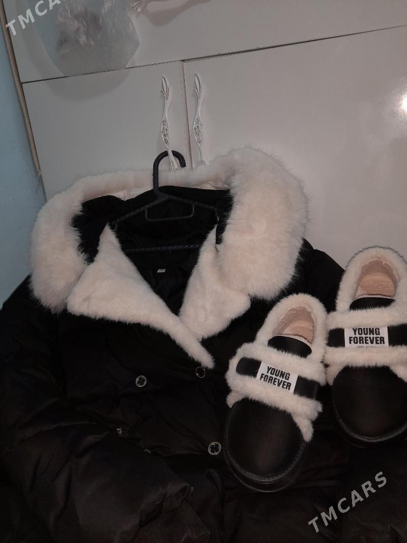 kurtga adik menzesh - Balkanabat - img 1