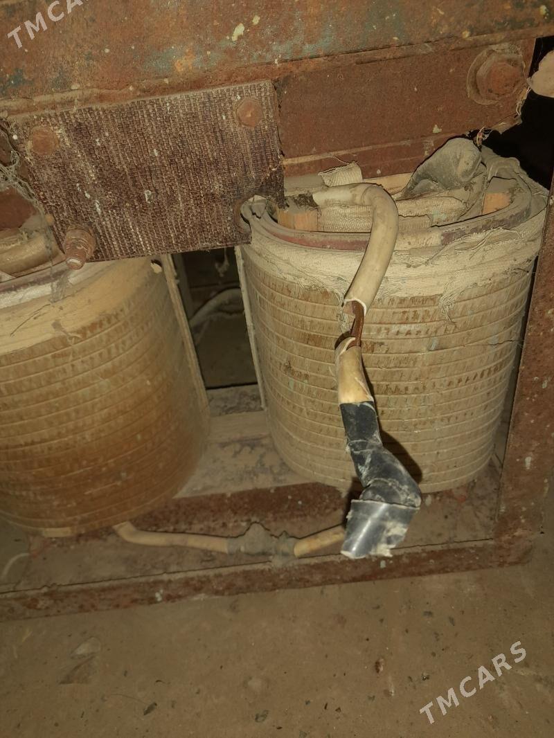 swarka - Mary - img 3