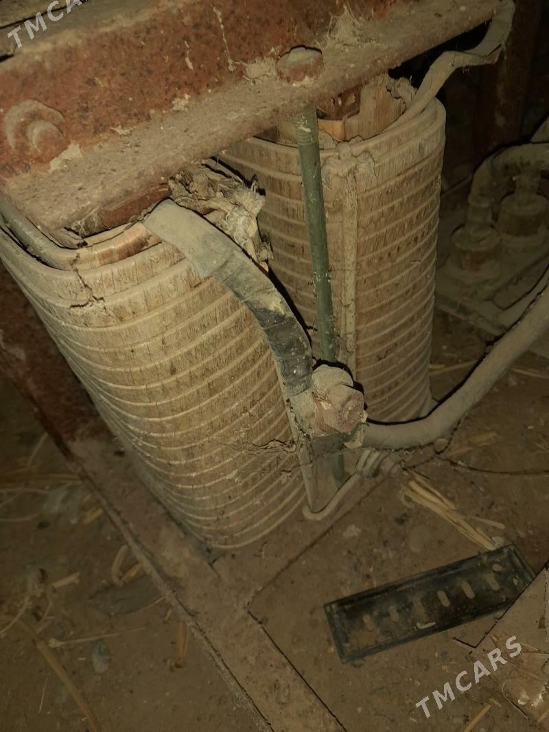 swarka - Mary - img 4