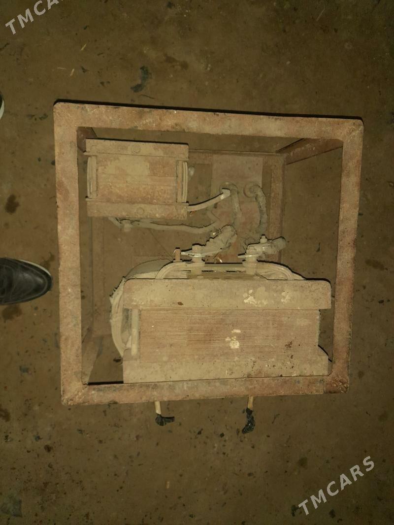 swarka - Mary - img 2