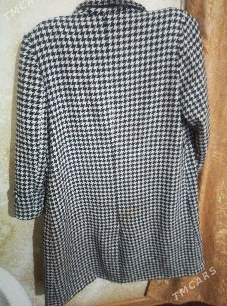 Palto - Daşoguz - img 4