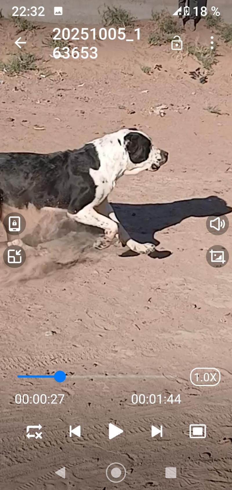 Karol - Babadaýhan - img 3