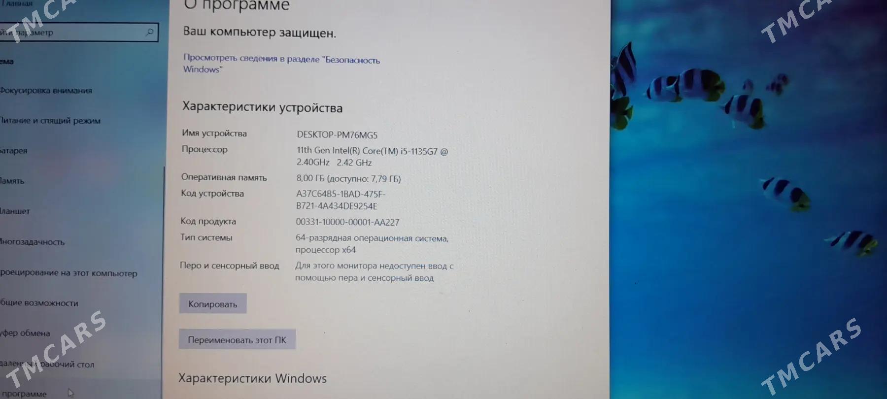 Acer - Гарабекевюл - img 2