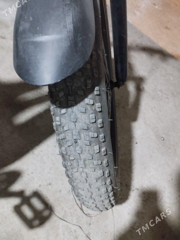 tokly tigir 26lyk - Ашхабад - img 5