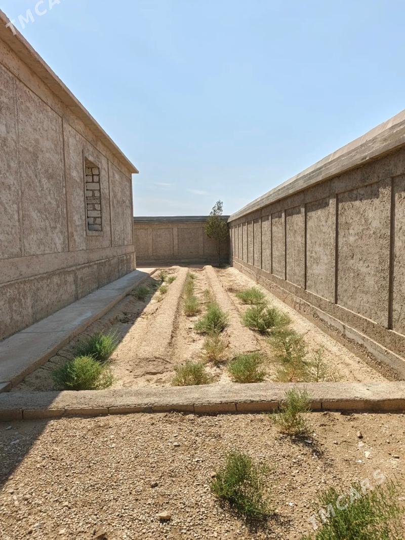 Kerwen 6 - Balkanabat - img 8