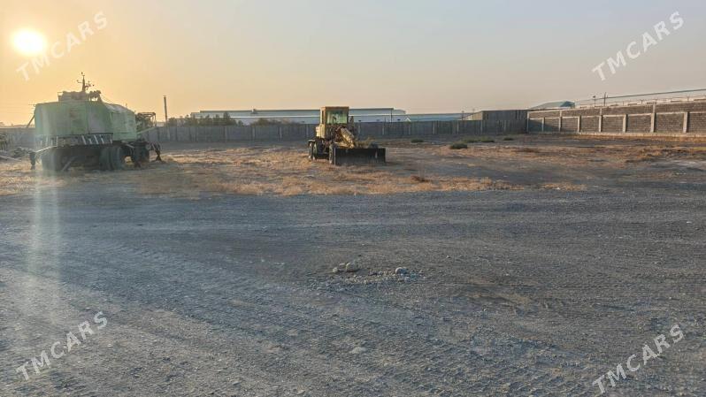 satlyk firma dowletnamaly - Ак-Бугдайский этрап - img 10