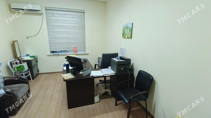 satlyk firma dowletnamaly - Ак-Бугдайский этрап - img 5