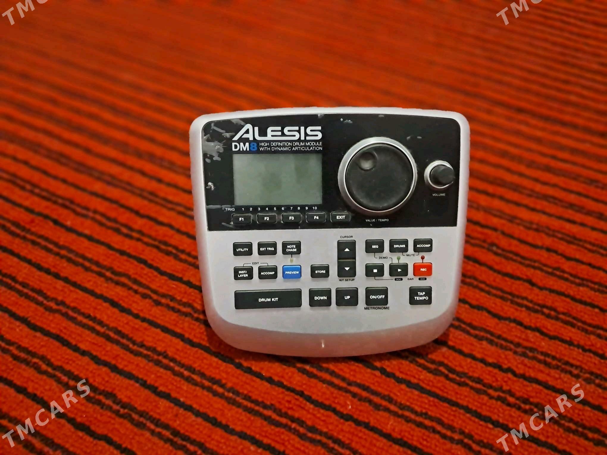 Baraban - Tejen - img 4