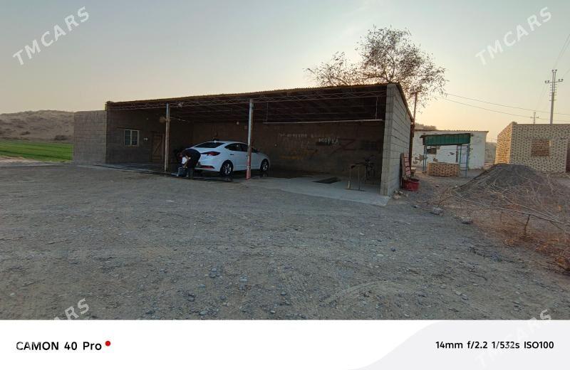 Satlyk yer - Ёлётен - img 3