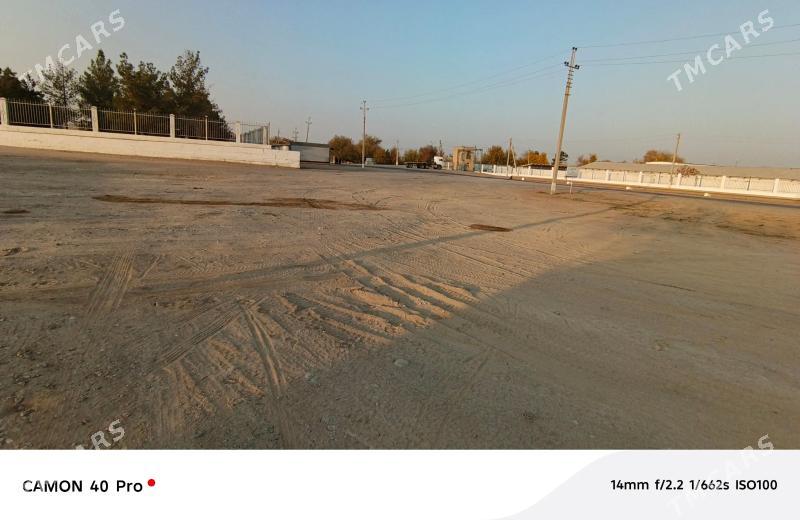 Satlyk ýer - Ýolöten - img 5