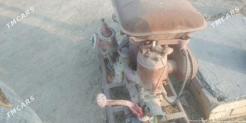 Satlyk - Сакарчага - img 2