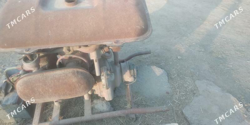 Satlyk - Сакарчага - img 3