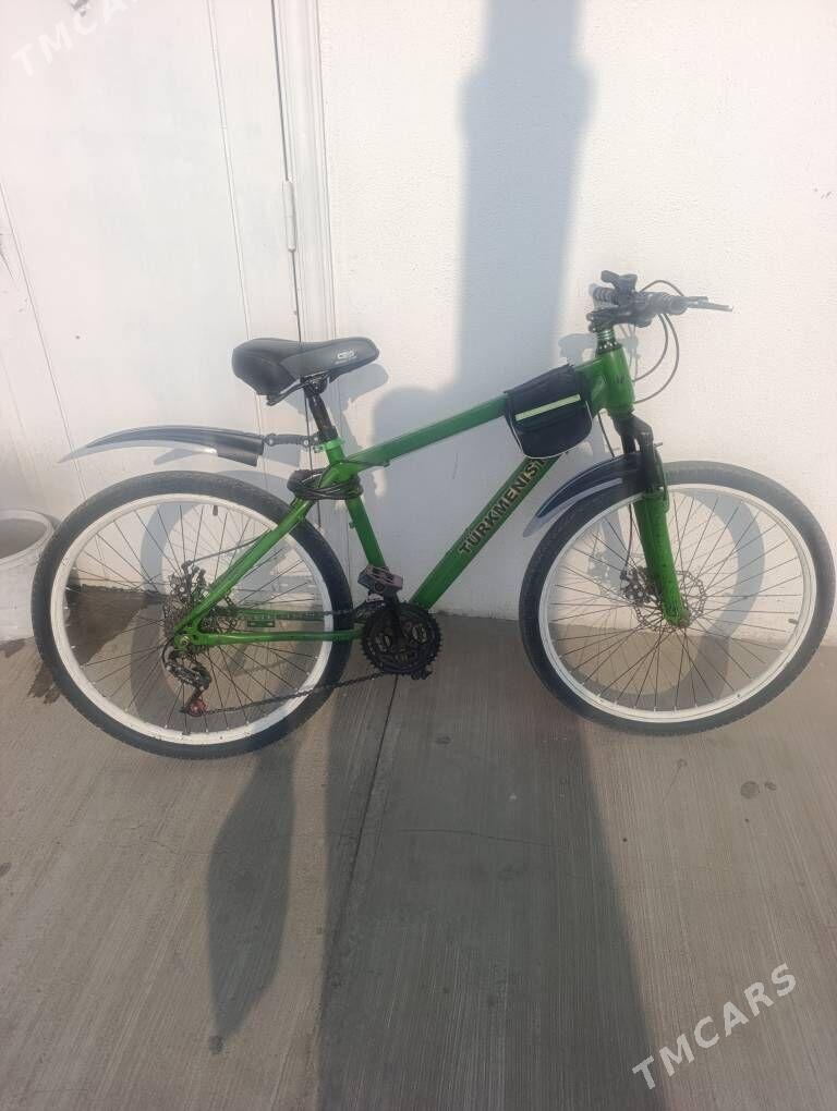 Turkmenistan tigir - Hitrowka - img 2