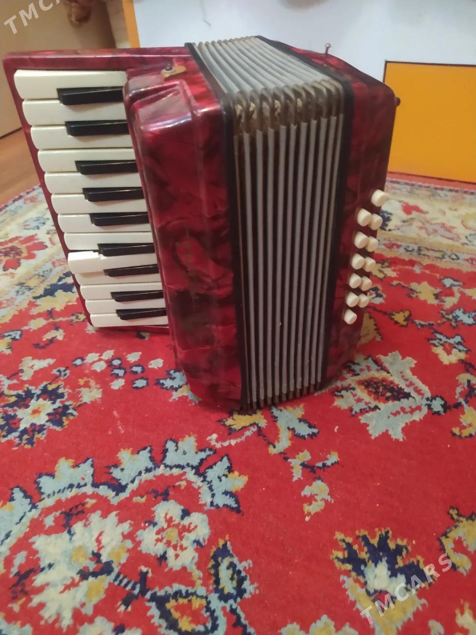аккордеон - Ашхабад - img 1