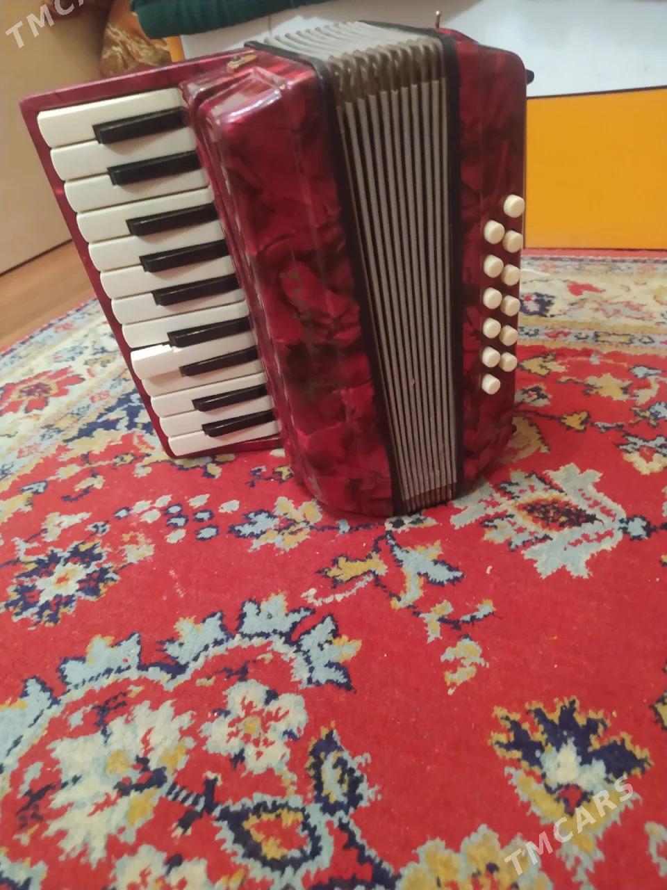 аккордеон - Ашхабад - img 2