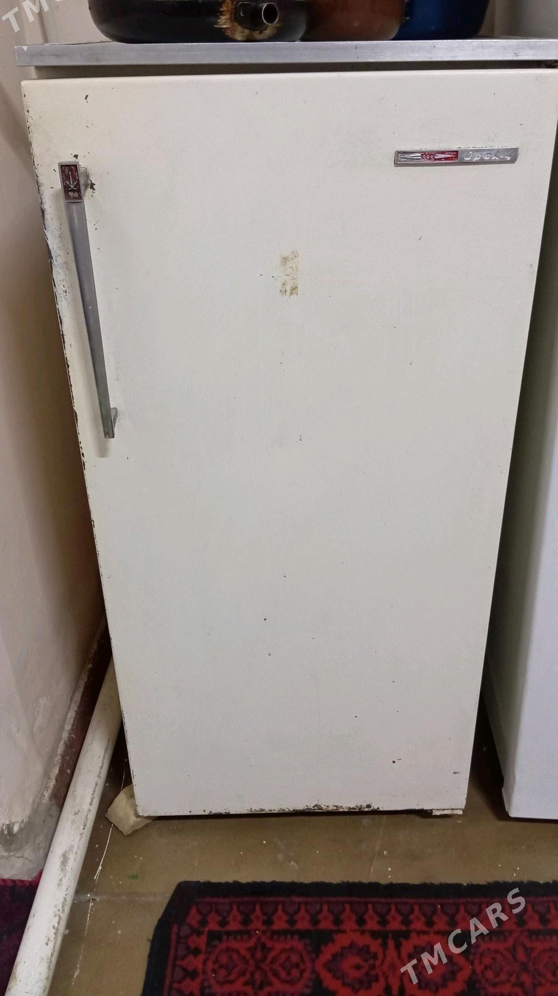 rasiski holadelnik - Чарджоу - img 1