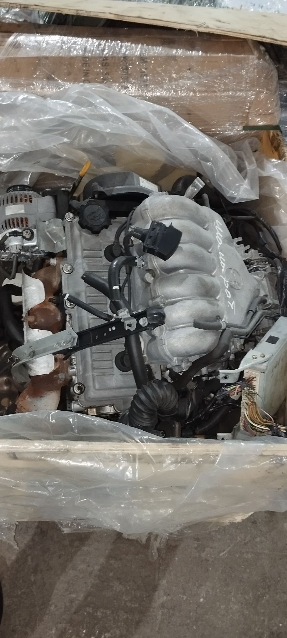 Tayota Mator 555 TMT - Mary - img 1