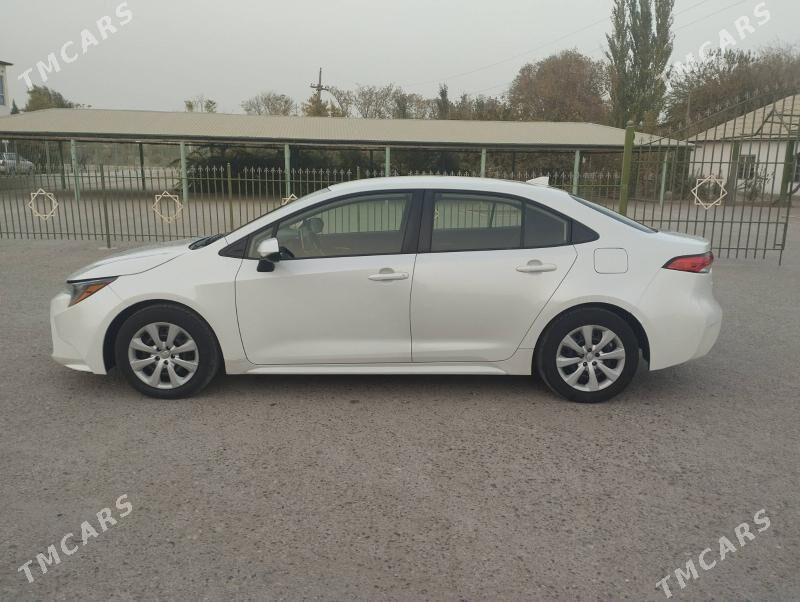 Toyota Corolla 2021 - 250 000 TMT - Halaç - img 3