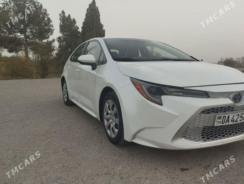 Toyota Corolla 2021 - 250 000 TMT - Halaç - img 4