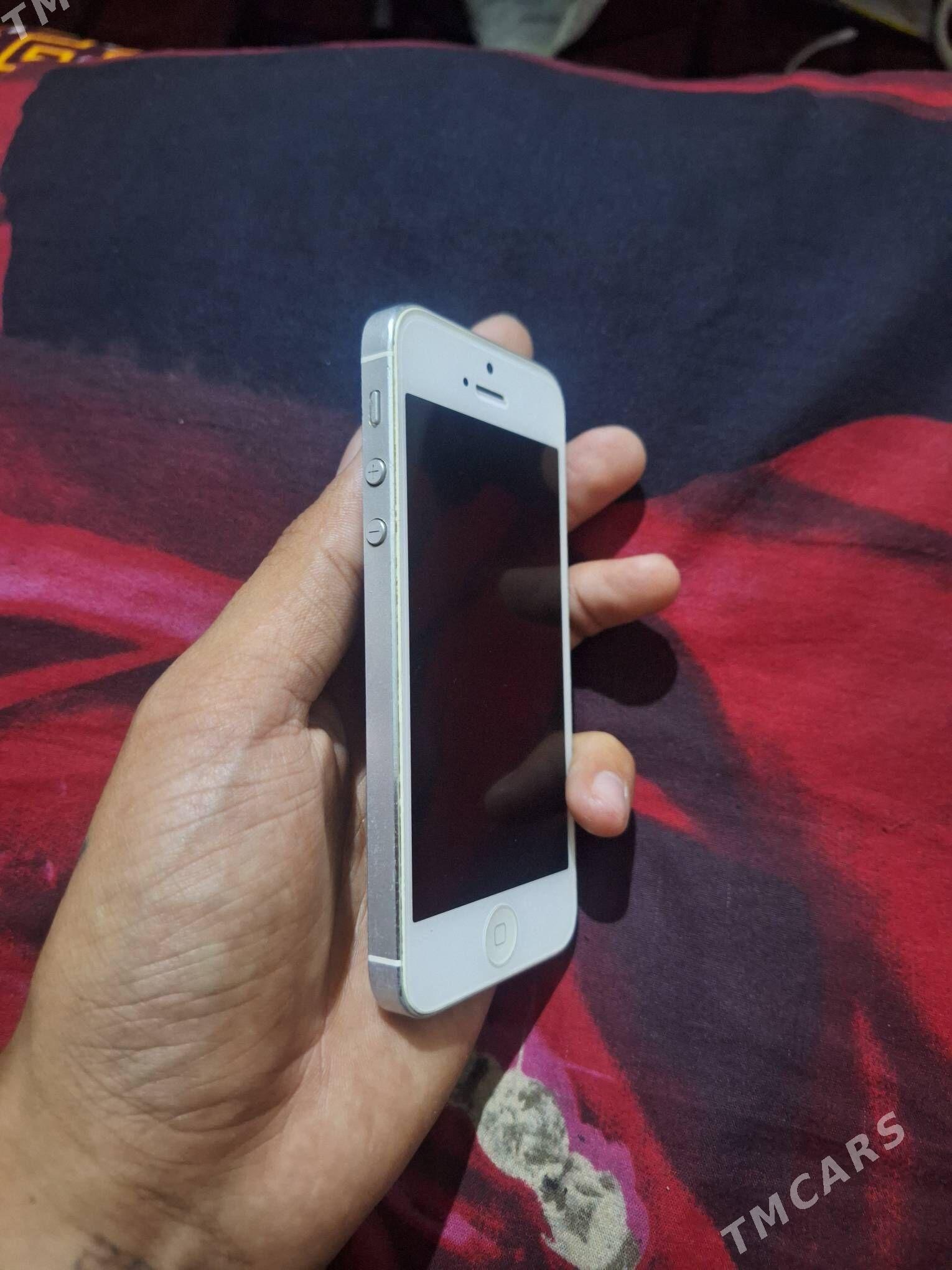 Iphon 5 - Дашогуз - img 3