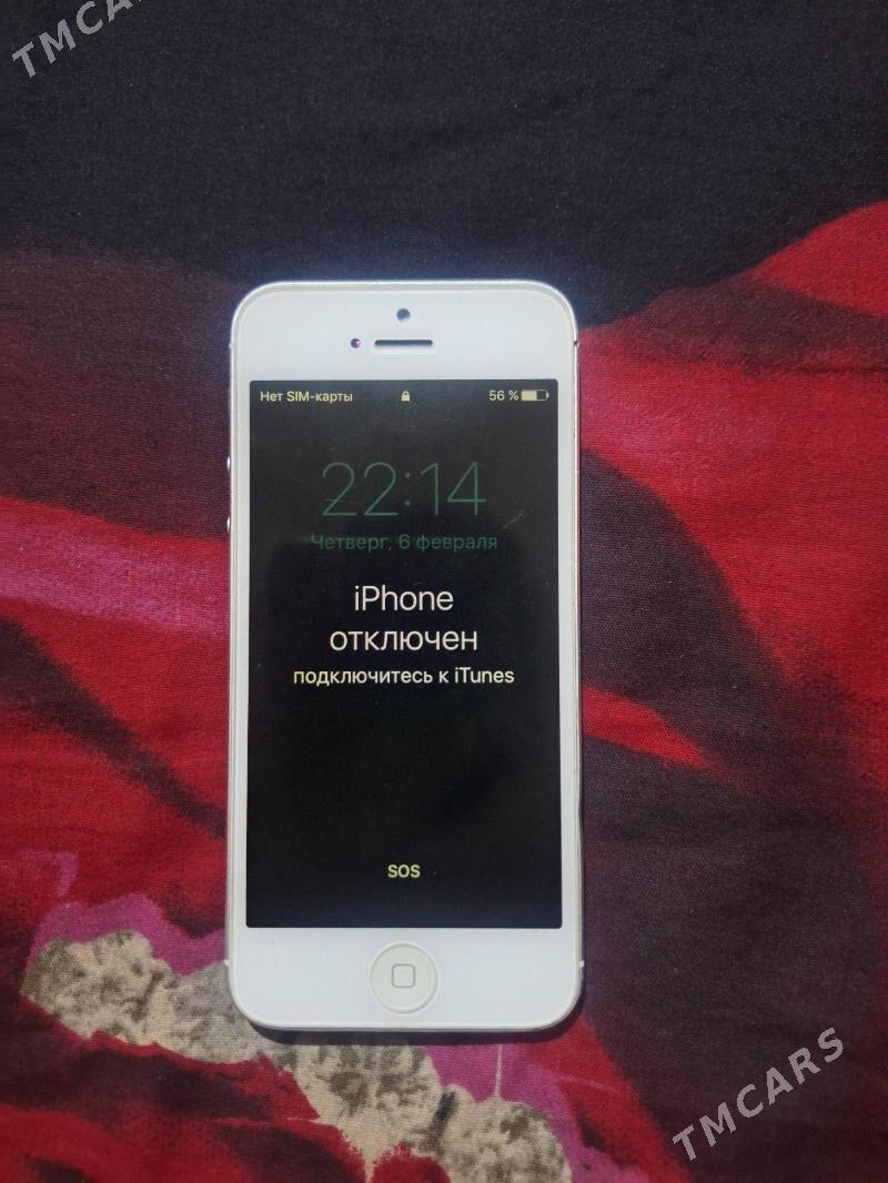 Iphon 5 - Дашогуз - img 1
