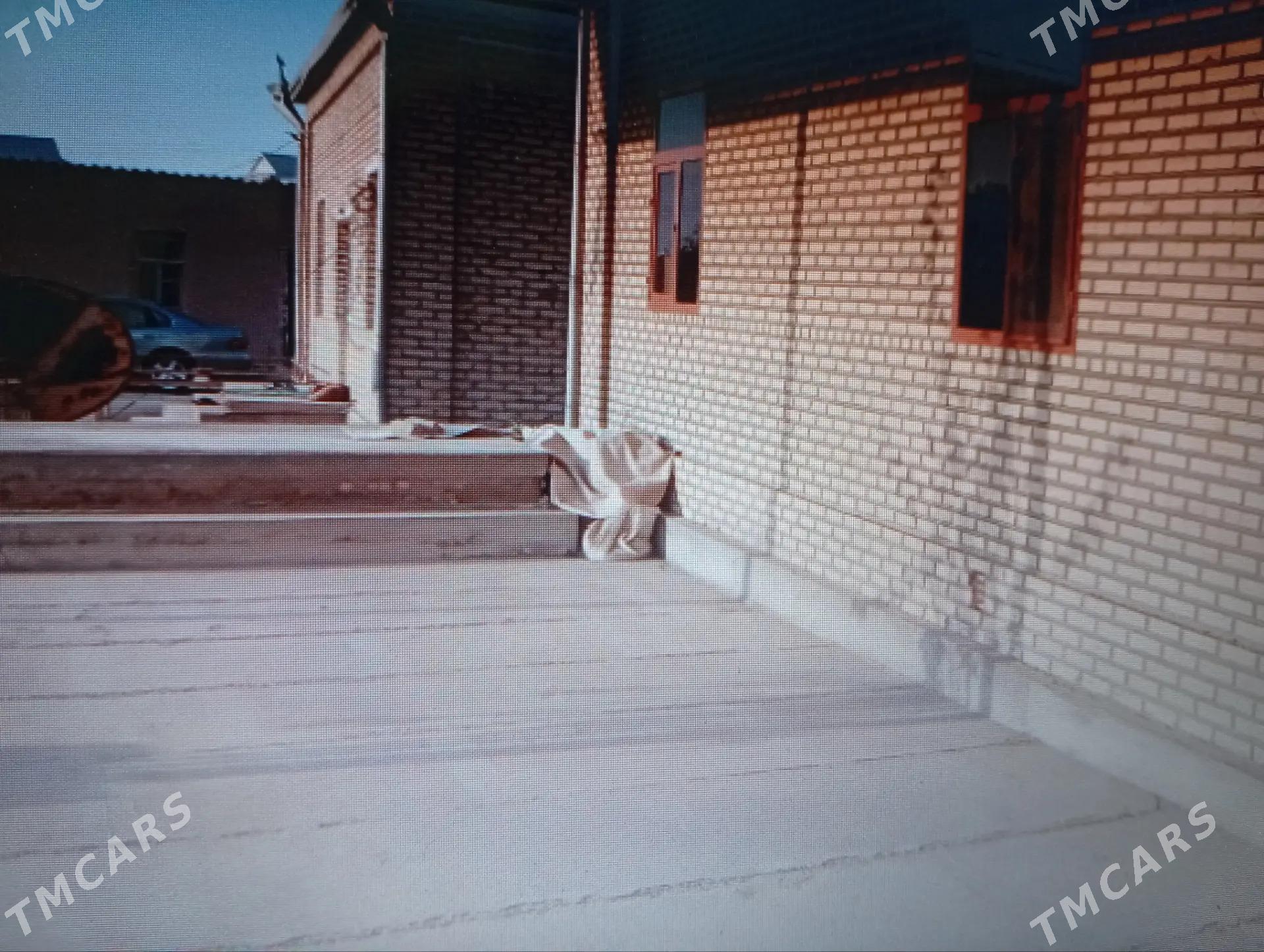 квартирант - Mary - img 4