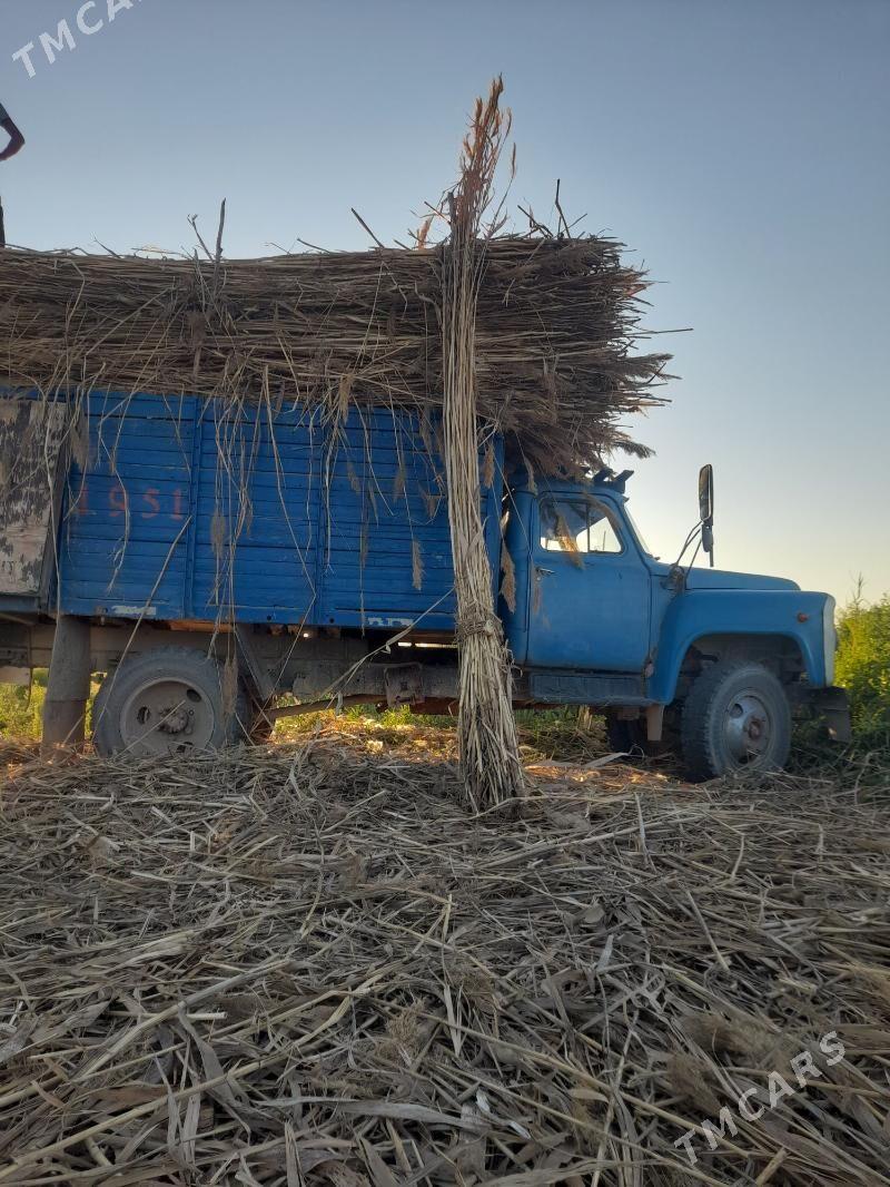 gamys - Daşoguz - img 2