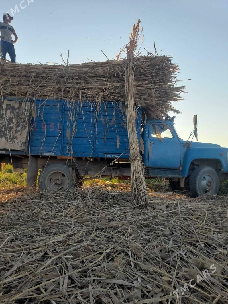 gamys - Daşoguz - img 1