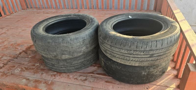 Balon 15.195.65.  4 sany Teker 499 TMT - Gubadag - img 2