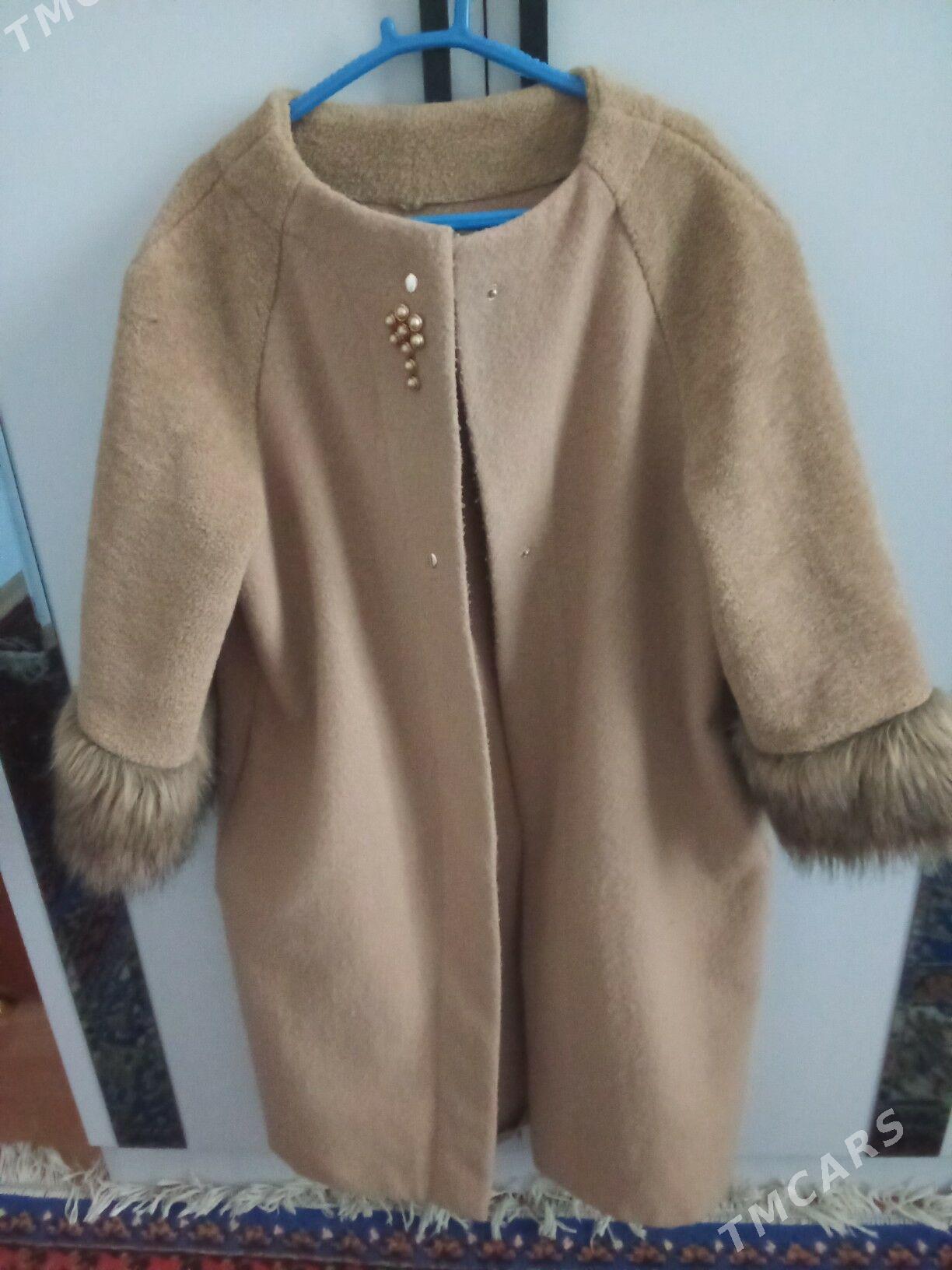 Palto - Podwoýski köç. (Bitarap Türkmenistan şaýoly) - img 2