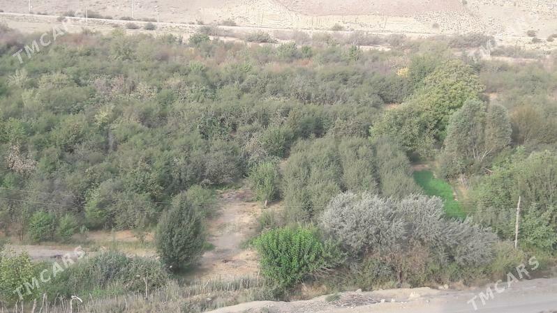 satlyk yer - Magtymguly - img 2