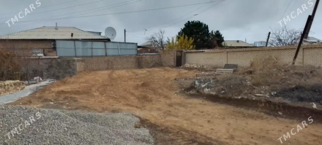 gokje Mellek yer - Mary - img 2