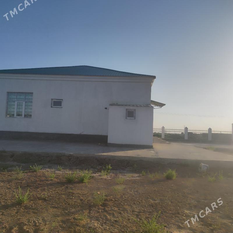 Elitni jay - Бабадайхан - img 6