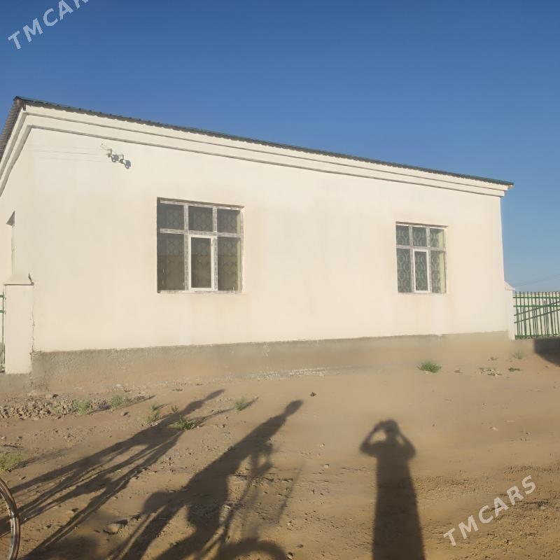 Elitni jay - Бабадайхан - img 7