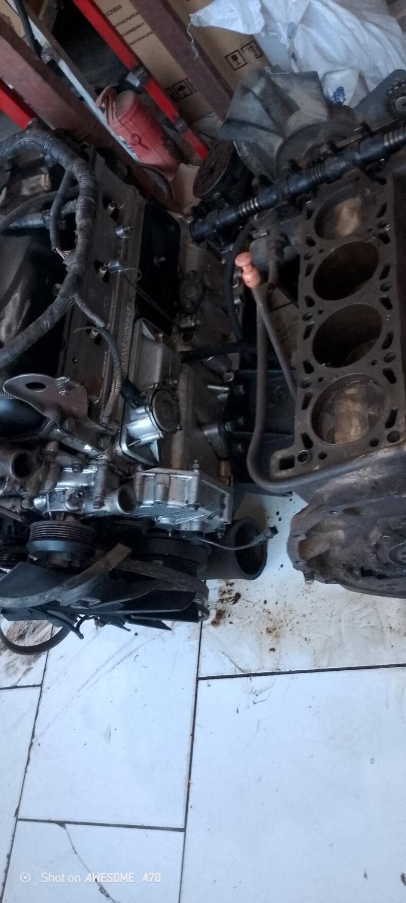 Gazel matorlar mordalar sideny 100 000 TMT - Мары - img 6