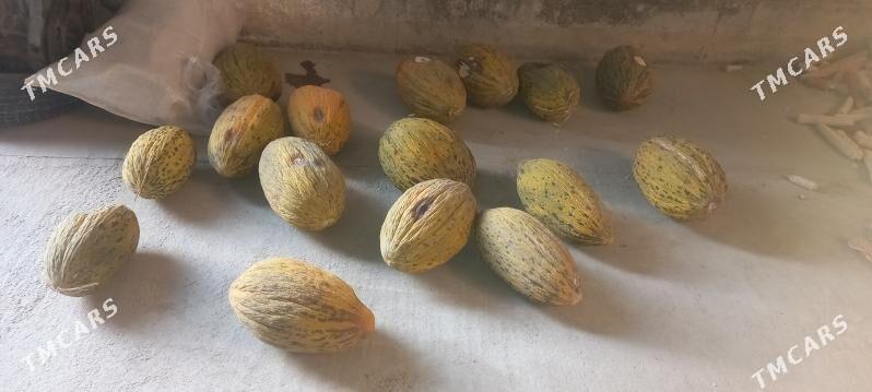 Kadi - Ашхабад - img 4