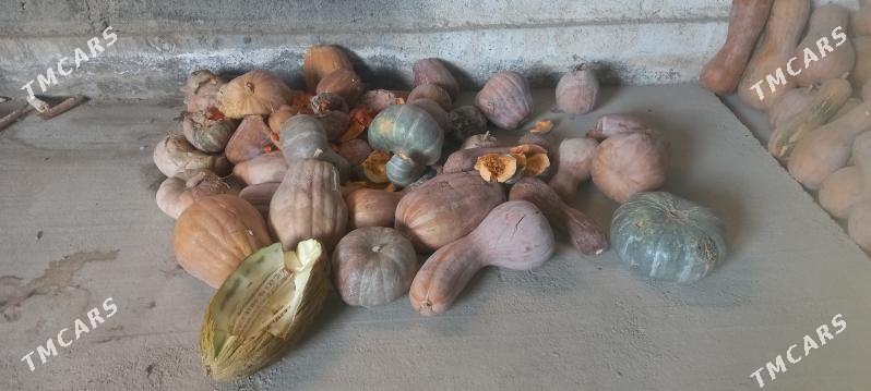 Kadi - Ашхабад - img 3