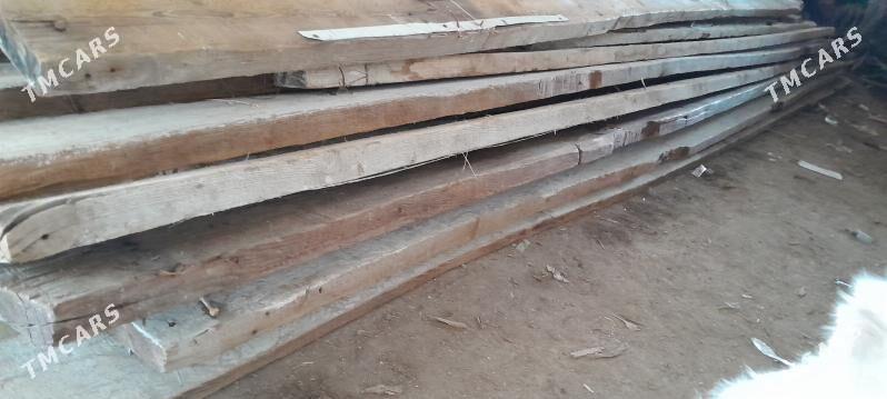 Agac - Bedew - img 2