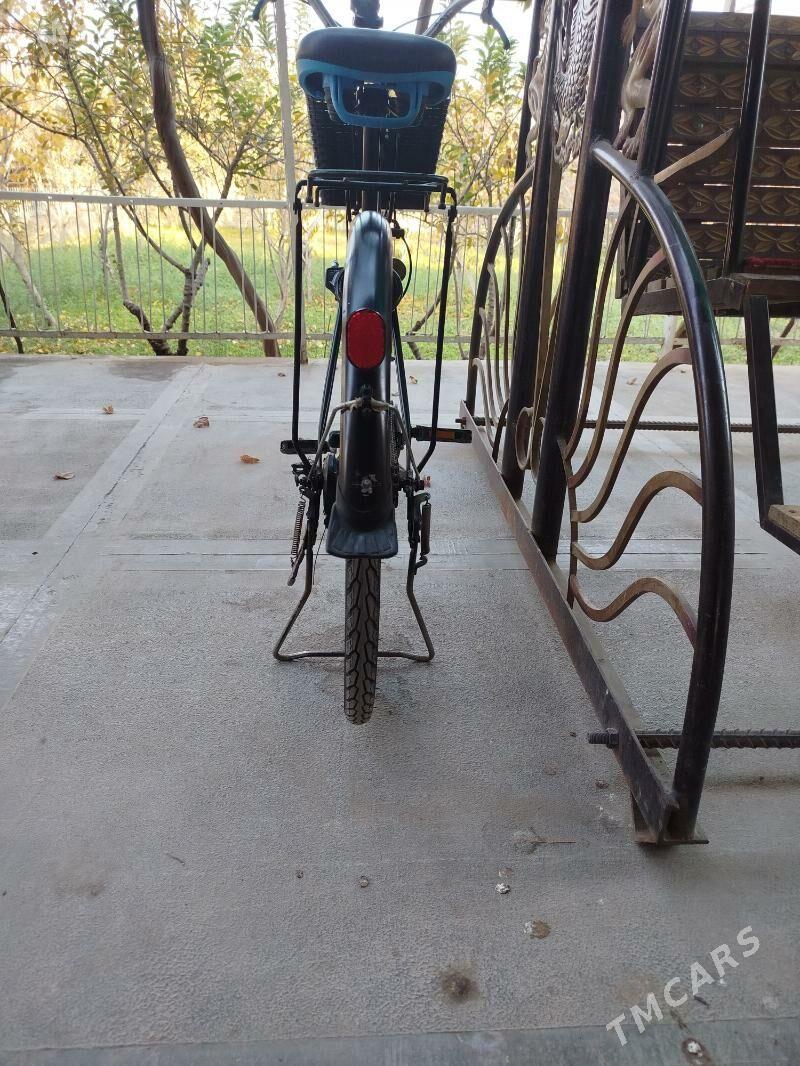 welsepet 26 - Sakarçäge - img 2