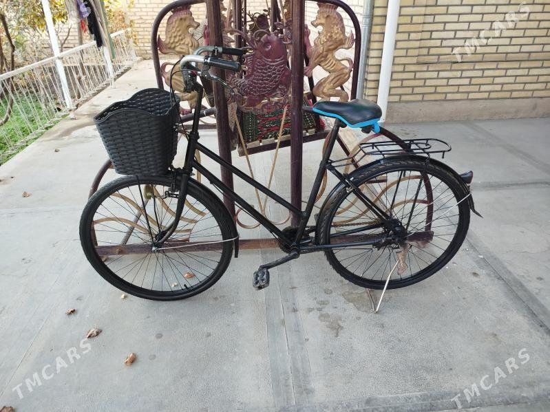 welsepet 26 - Sakarçäge - img 1