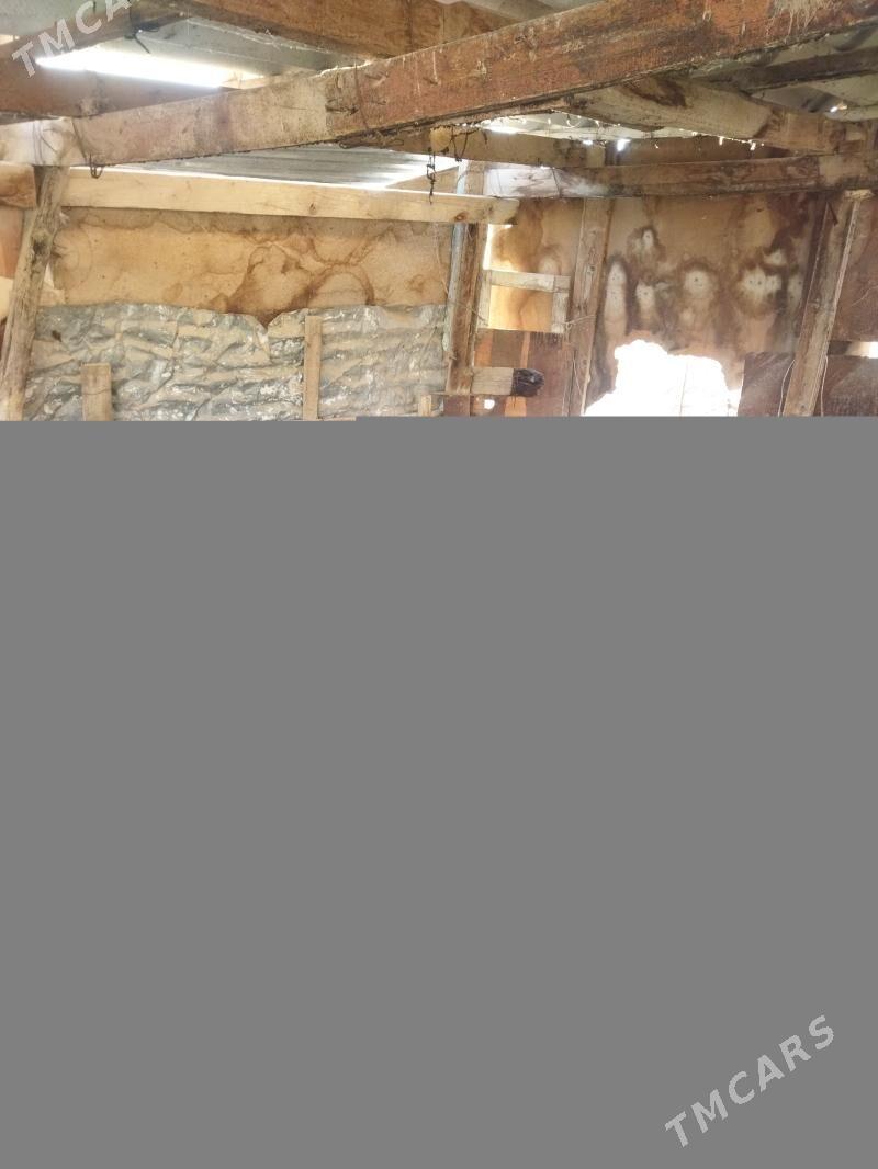 okuz - Ак-Бугдайский этрап - img 2