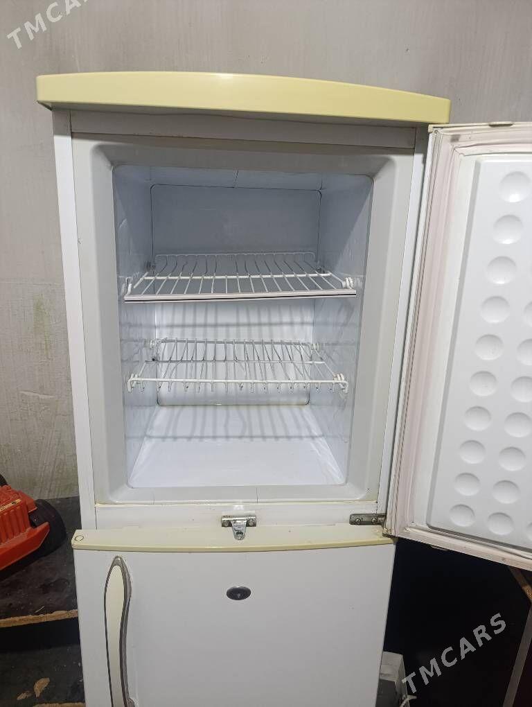 Holodilnik gulobus - Änew - img 2