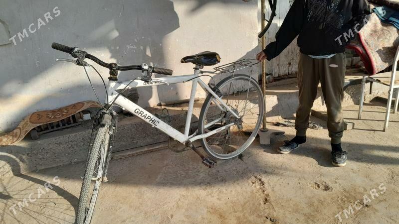 Welsepit 26lyk - Сакарчага - img 2