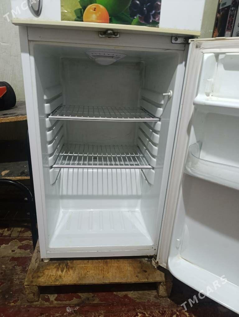 Holodilnik gulobus - Änew - img 1