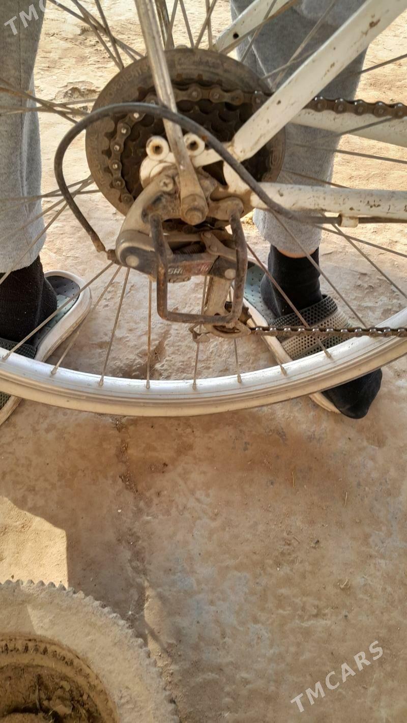 Welsepit 26lyk - Сакарчага - img 4