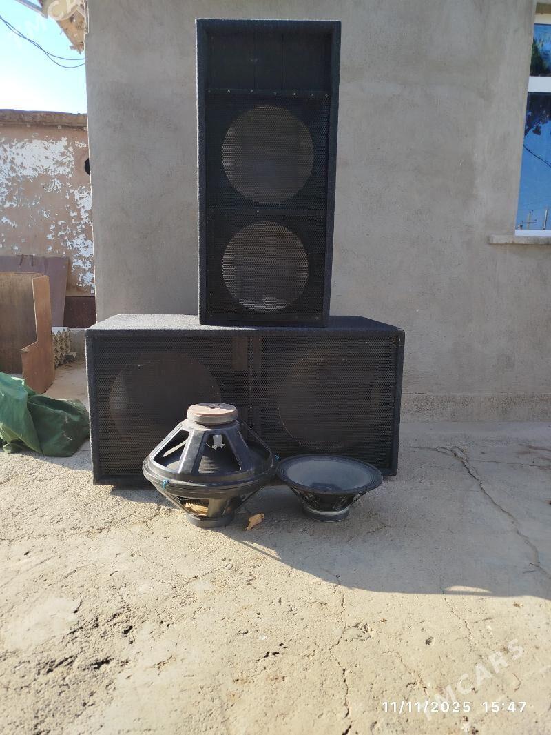 satlyk toý kalonka - Kaka - img 2