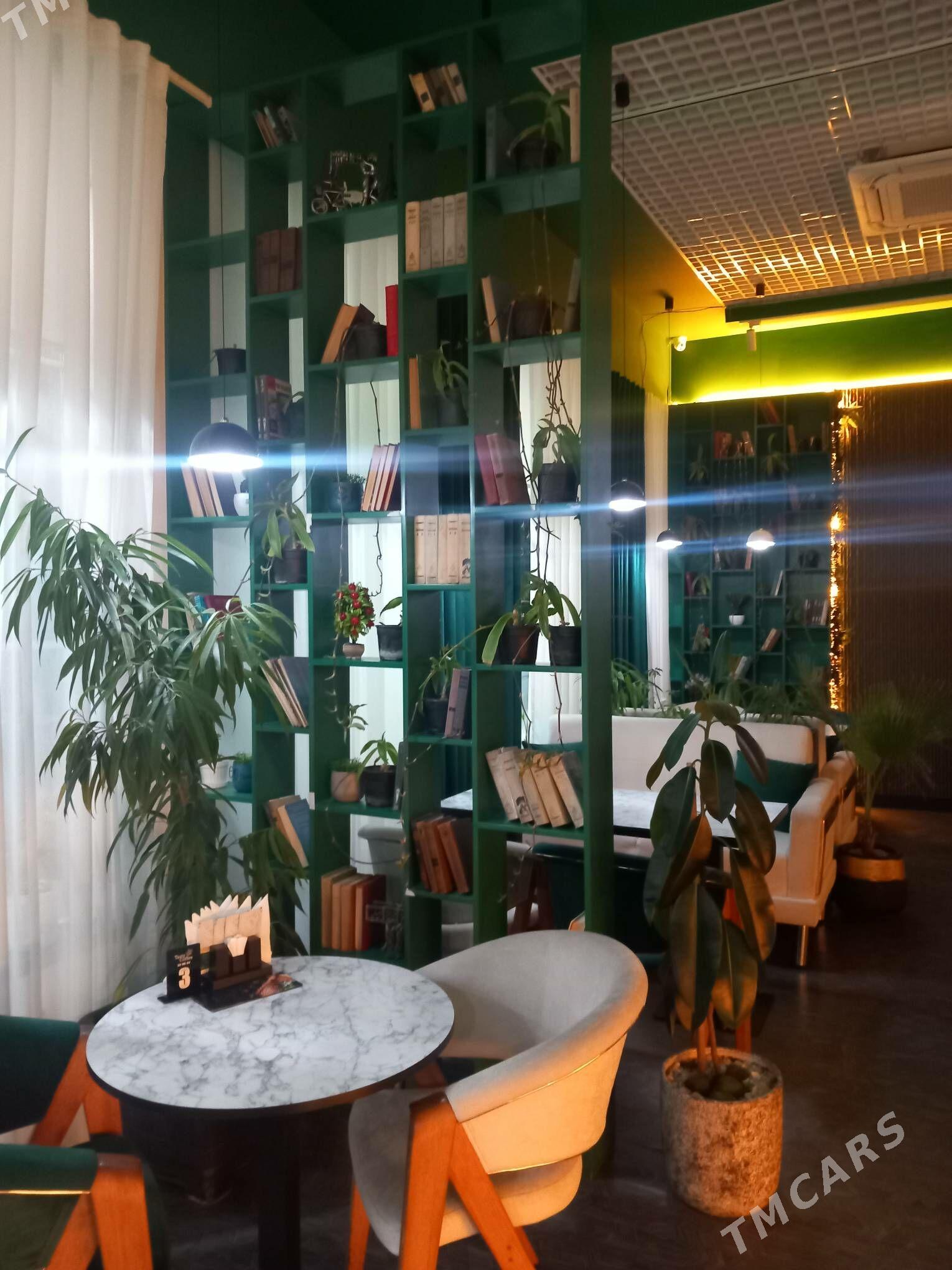 agaç - Aşgabat - img 4