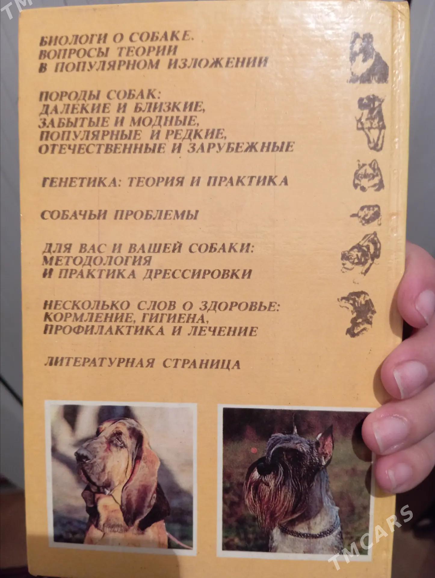 книга - Ашхабад - img 2