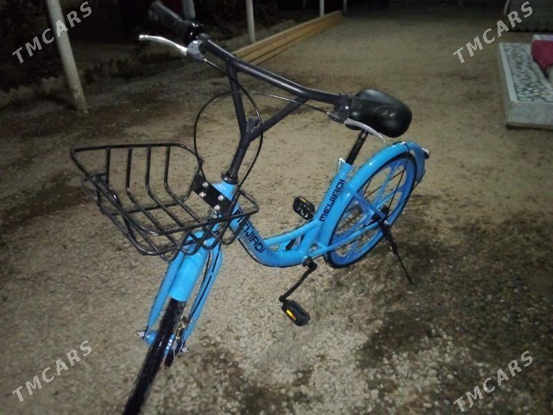 tigir - Сакарчага - img 3