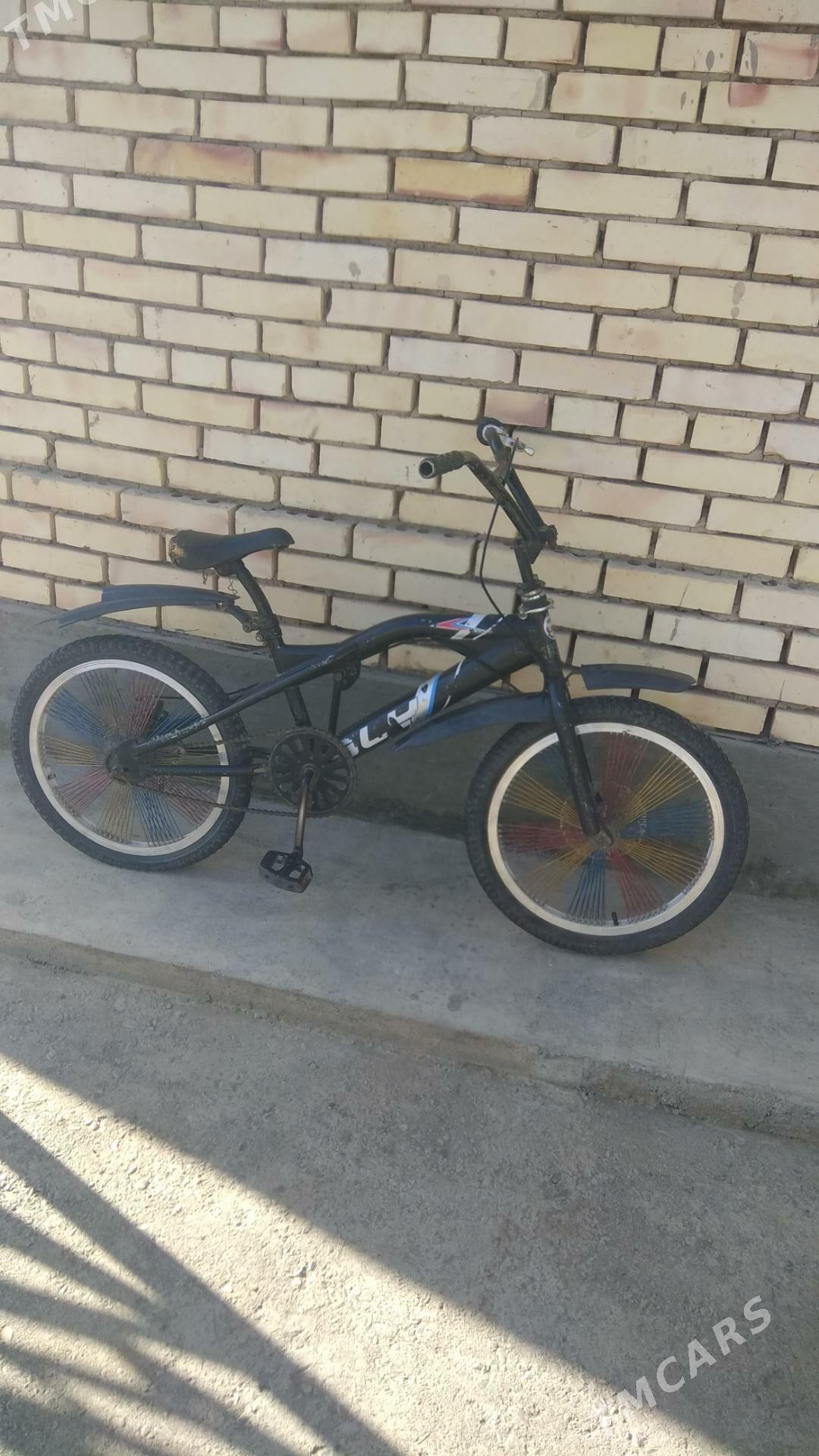 welsepit - Mary - img 2